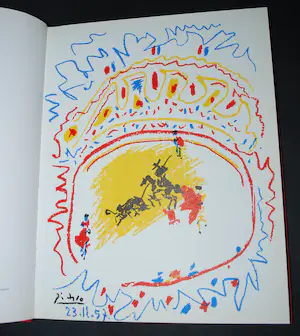 Pablo Picasso - Kunstboek met kleurenlitho kopen? Bied vanaf 125!