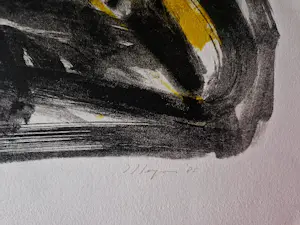 Jo Heijnen - grote kleuren lithografie - beperkte oplage (30) - gesigneerd kopen? Bied vanaf 38!