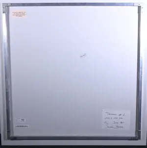 Denis Rouvre - C-print / dibond ( liquid gloss), Tsunami /Tomoko Ujiie uit de serie 'Low Tide' kopen? Bied vanaf 500!