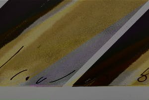 Herman Brood - Torso - Originele Handgesigneerde Zeefdruk kopen? Bied vanaf 1!