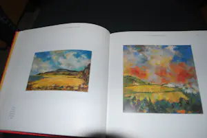 Louis Meys - 2 hardcover boeken kopen? Bied vanaf 50!