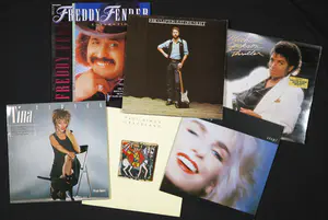 Various artists - Tina Turner, Michael Jackson, Paul Simon e.a. - Lot van 6 albums kaufen? Bieten Sie von 15!