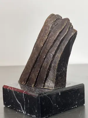 Corry Ammerlaan - Wind bride kopen? Bied vanaf 49!