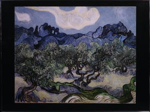 Paul Huf - Foto, De olijfbomen van Vincent van Gogh - Ingelijst kopen? Bied vanaf 1!
