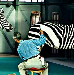 Mr. Strange - LES ZEBRES kopen? Bied vanaf 65!