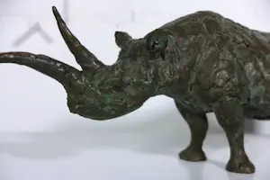 Hetty Heyster - Brons, Neushoorn kopen? Bied vanaf 500!