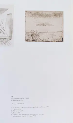 Co Westerik - Vogel boven water, ets kopen? Bied vanaf 195!