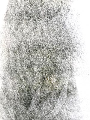 Chris Heeneman - titel onbekend - Grote litho - Handgesigneerd kopen? Bied vanaf 40!