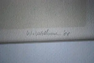 Willem van Veldhuizen - Stoel - tafel - boek kopen? Bied vanaf 175!