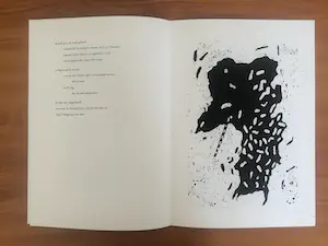 Frank Lodeizen - bundel van 9 afzonderlijke bladen. Gesigneerd en genummerd: 62/99 kopen? Bied vanaf 100!