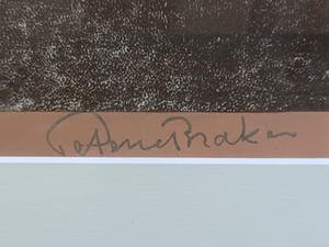 Peter van den Braken - 2 linosnedes kopen? Bied vanaf 55!