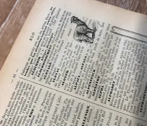 Antiquarisch Boek - Antieke Petit Larousse Illustré kopen? Bied vanaf 75!
