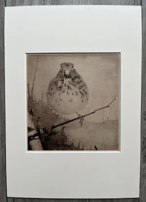 Jan Mankes - Originele Heliogravure Lijster op Tak 1923 kopen? Bied vanaf 185!