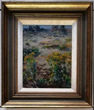 Simon de Heer - Sint Jacobskruid kopen? Bied vanaf 200!