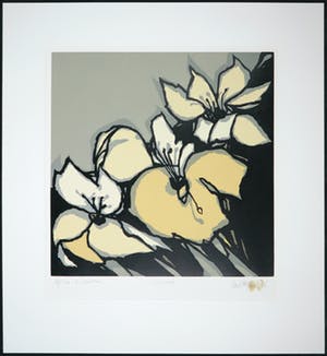 Fon Klement - Boardsnede, Liliaceés kopen? Bied vanaf 70!