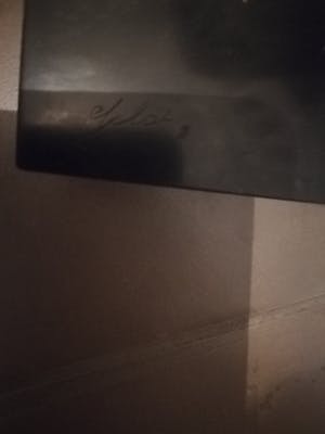 Francoise Gilot - Twee bronzen paarden kopen? Bied vanaf 150!