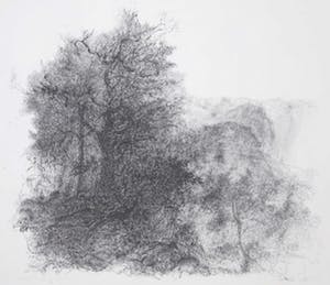 Jaap Kruijff - Litho, z.t. Grote boom kopen? Bied vanaf 1!