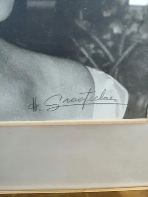 AcheterHubert Grooteclaes - Prinses Paola? Enchérissez de 250!