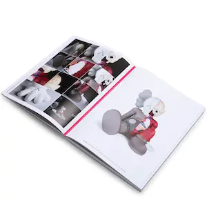 KAWS - What Party - Phaidon limited edition boek - Roze editie kopen? Bied vanaf 100!