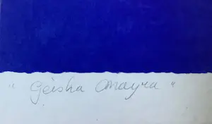 Ada Breedveld - “Geschenk voor Geisha Mayra” en “Geisha Mayra” kopen? Bied vanaf 225!