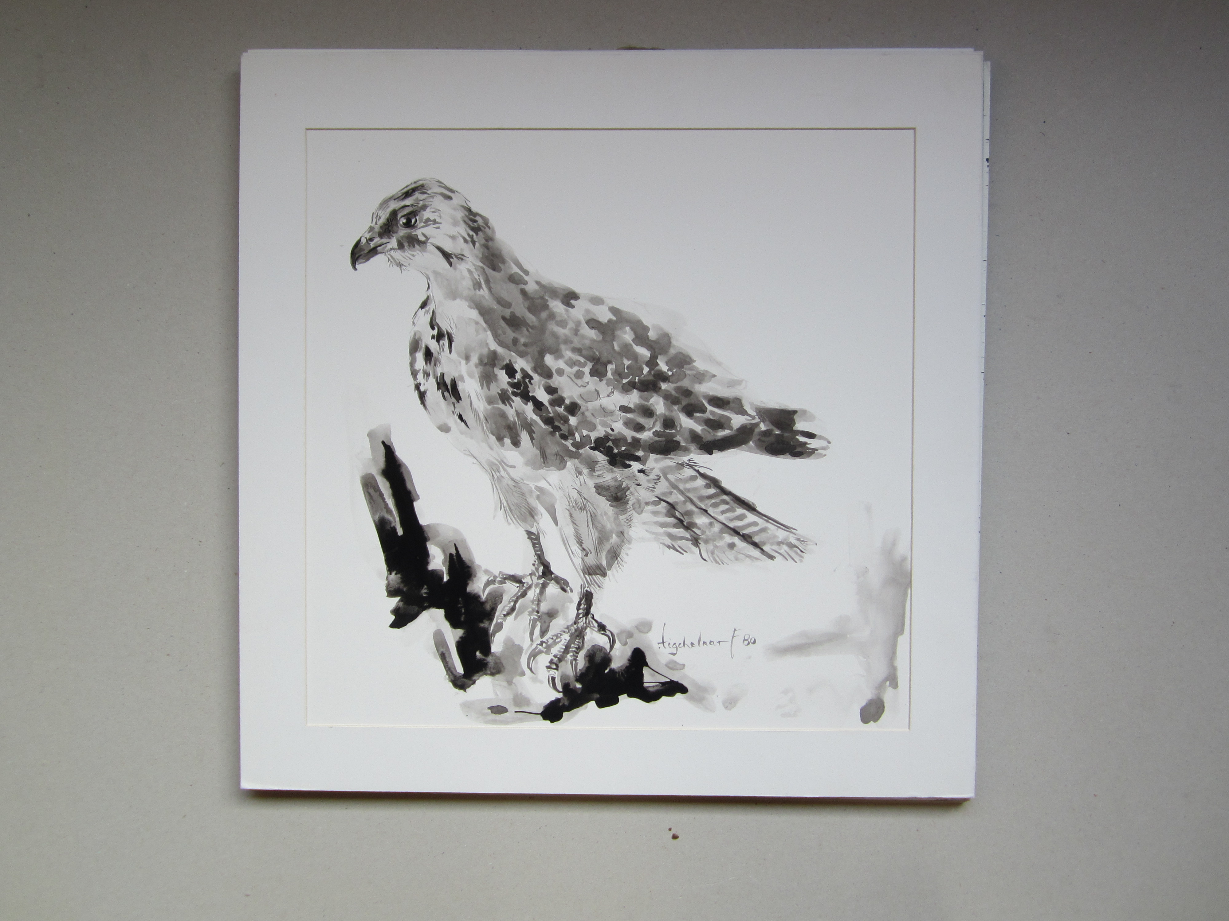 Andre Tigchelaar - Buizerd kopen? Bied vanaf 1!