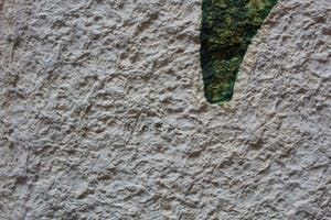 Juan Garcia Ripolles - reliefdruk: Le Coq couronné - kopen? Bied vanaf 150!