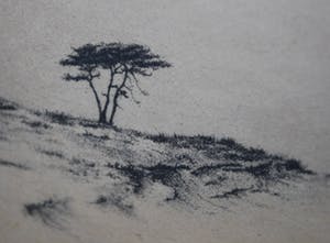 Dirk Harting - epreuve d'artiste - ets - duinlandschap kopen? Bied vanaf 30!