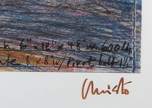 Christo - Handgesigneerd exemplaar The Gates met stukje stof - Ingelijst (Groot) kopen? Bied vanaf 1!