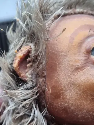 Curiosa - Mecki Steiff egel vintage speelgoed antiek 50s kopen? Bied vanaf 10!