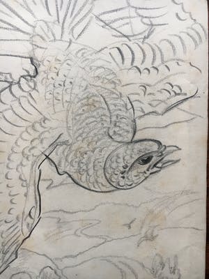 Willem van Konijnenburg - Roofvogel kopen? Bied vanaf 45!