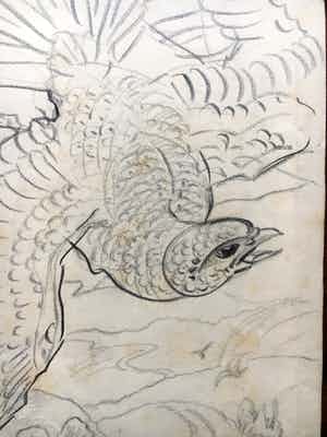 Willem van Konijnenburg - Roofvogel verkocht voor € 45!