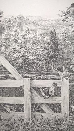 Peter Vos - Verte - gesigneerde litho kopen? Bied vanaf 250!