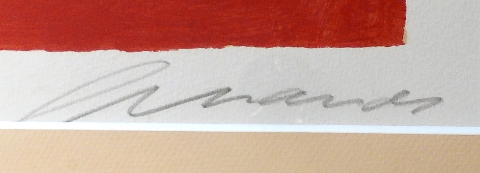 Eugene Brands - Ingelijste litho: Vis kopen? Bied vanaf 350!