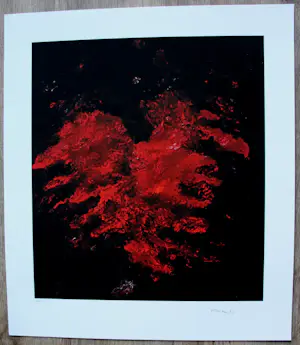 Armando - Giclee: Flügel kaufen? Bieten Sie von 169!