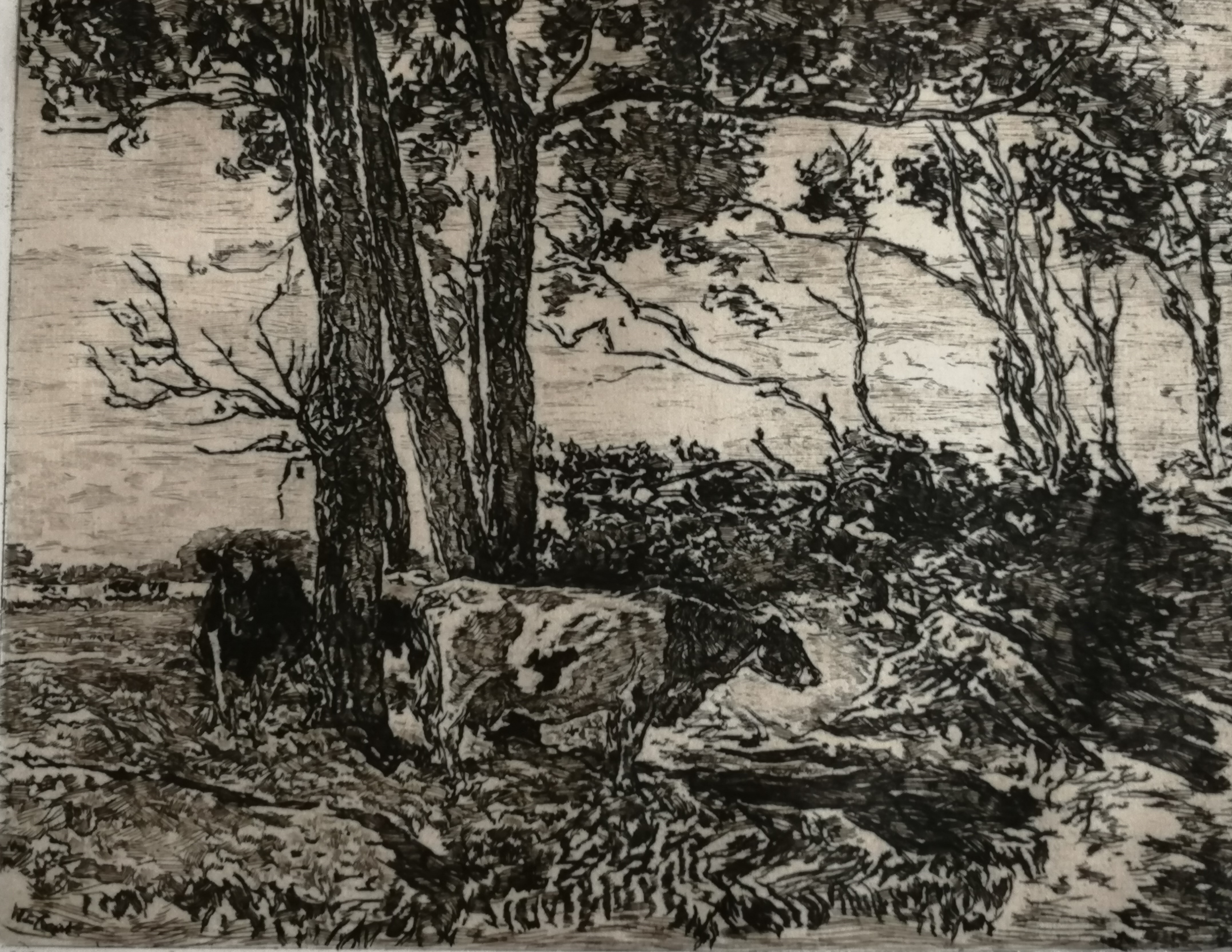 Willem de Zwart - Koeien onder bomen verkocht voor € 40!