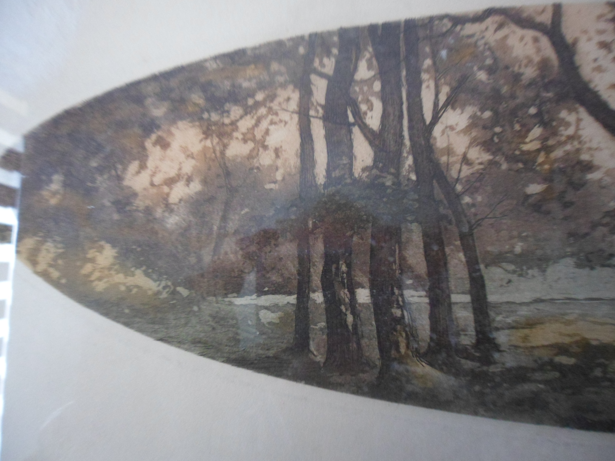 Niet of onleesbaar gesigneerd - Kleuren ets, Landschap kopen? Bied vanaf 1!