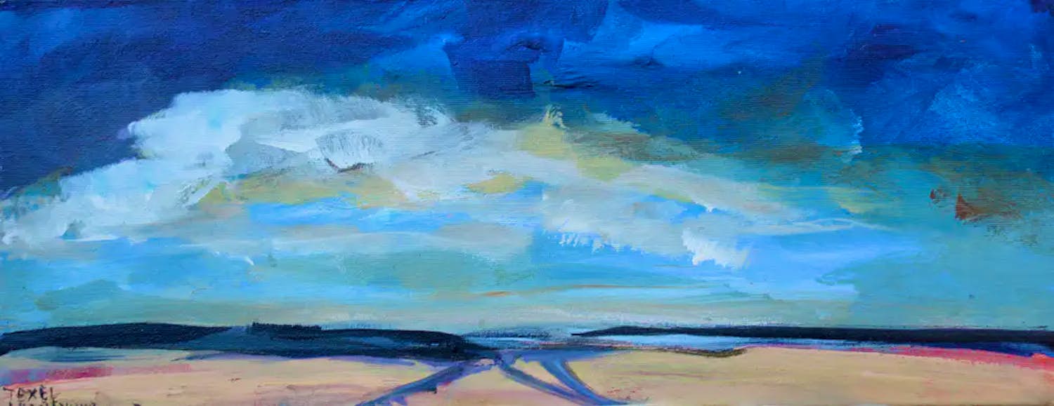 Buy Maya Wildevuur - Acrylverf op doek: strand Texel - 2003? Bid from 375!