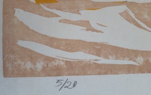 Frank Dekkers - Waard na de Vorst kopen? Bied vanaf 20!