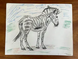 Cornelis Jan Mension - Tekening van een zebra, gemaakt in Artis kopen? Bied vanaf 80!