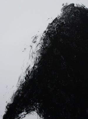 Armando - Litho: Der fahn(de vlag)- 1982 kopen? Bied vanaf 225!