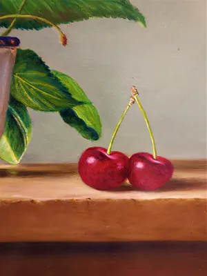 Hans Habraken - Emaillen schaal met kersen kopen? Bied vanaf 525!