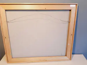 Dirk Bakker - verbazing kopen? Bied vanaf 50!