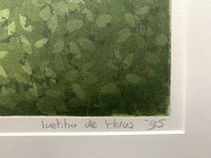 Laetitia de Haas - kleurenets - 'St. Remy' - 1995 kopen? Bied vanaf 75!