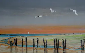 Franklin Meijer - Waddenkust Groningen kopen? Bied vanaf 79!