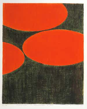 Michael Berkhemer - Zeefdruk, Mobiliteit TC Team Consult 15 jaar verkocht voor € 50!