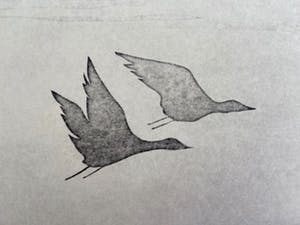 Colette Meltzer-Haesaerts - Touring High kopen? Bied vanaf 5!