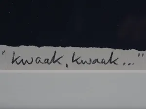 Hans Innemee - Kwaak, kwaak kopen? Bied vanaf 50!