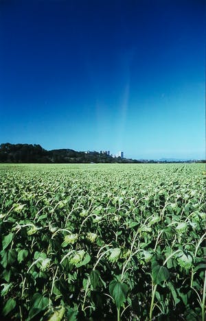 Paul Huf - Foto, France, Arles, Chateau Montmajour - Ingelijst kopen? Bied vanaf 1!