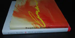 Eugène Brands - 2 hardcovers: Werk op papier->gesigneerd 2000 & Monografie 1988 kopen? Bied vanaf 100!