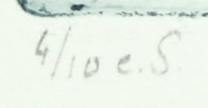 Rins Heidema - Ets, Zeevogel kopen? Bied vanaf 20!